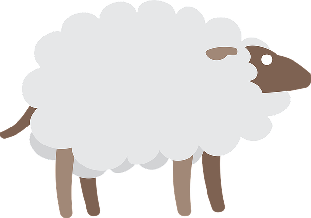 インドネシア語で「羊」